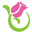 诺朵儿鲜花网 - 提供准时、优质的鲜花速递服务！