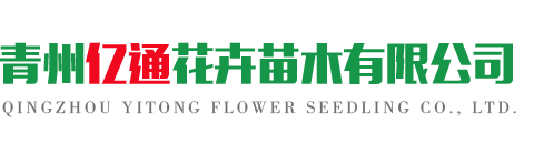 青州亿通花卉苗木有限公司 - 集花卉种植、销售、运输于一体的花卉供应商