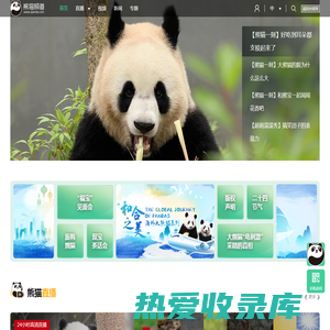 熊猫频道_央视网